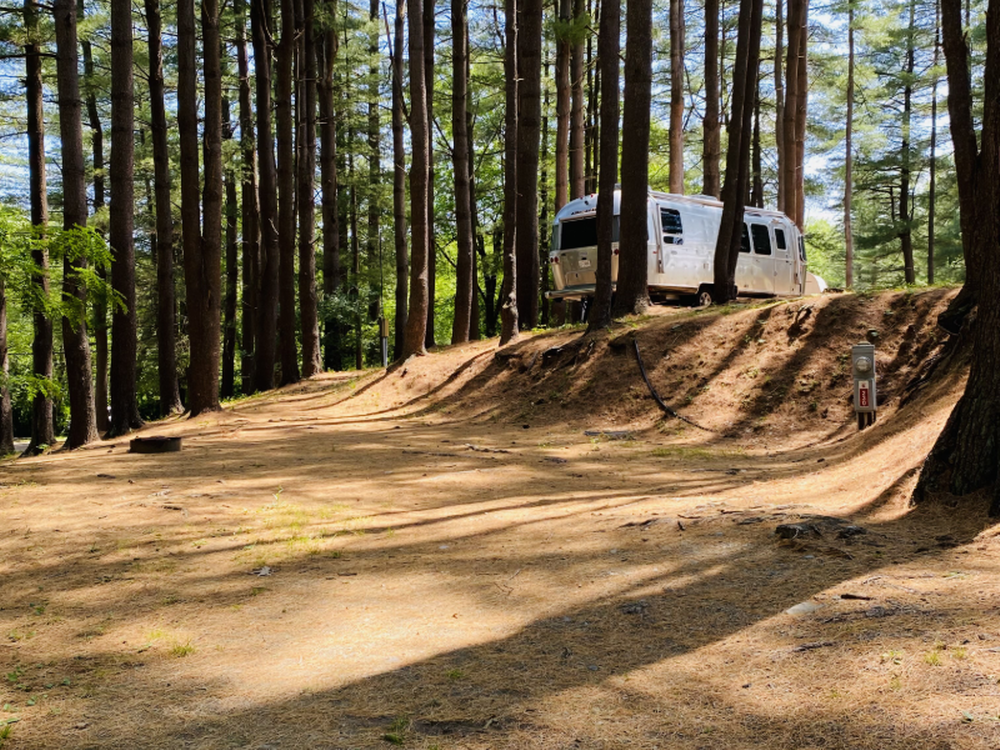 RV site under the trees at Interlake RV Park & Sales