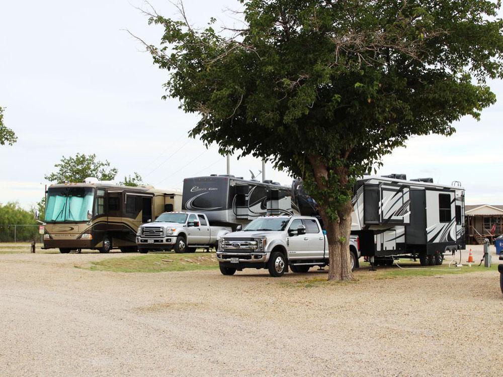 RVs parked on campground at WHIP IN RV PARK