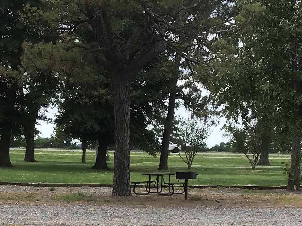 A bbq and picnic table at an RV site at BOOTHEEL RV PARK & EVENT CENTER