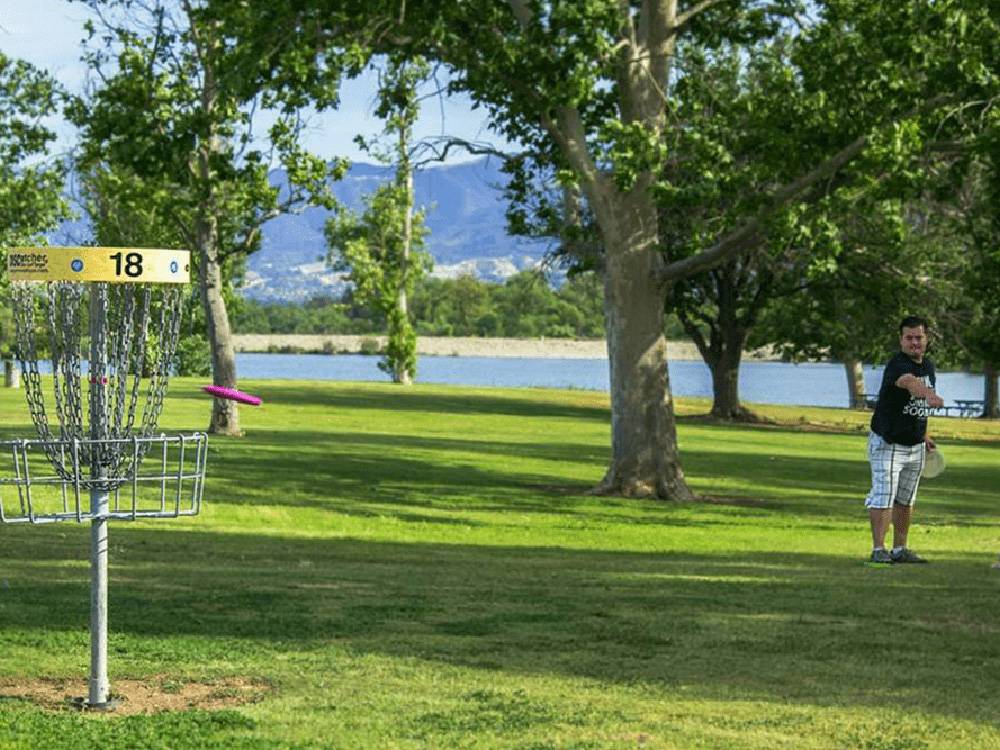 Man playing with frisbee near disc golf goal