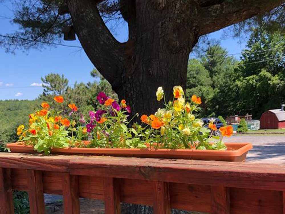 A flower box with flowers at COUNTRY ROADS CAMPGROUND