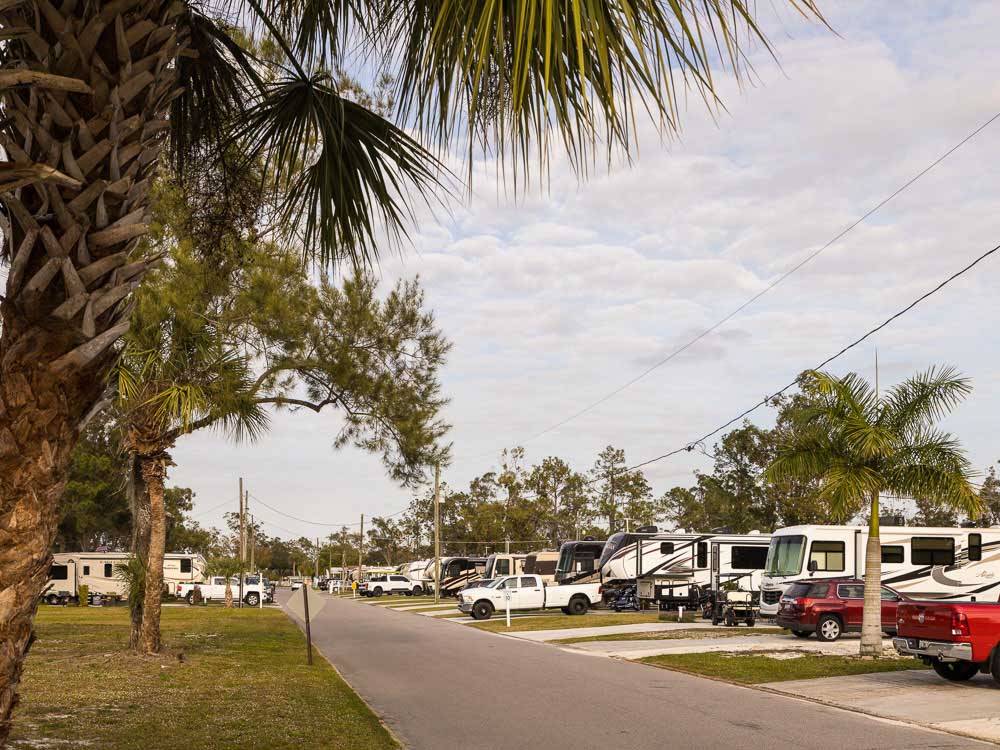 The road next to a row of parked RVs at RIVER VISTA RV VILLAGE