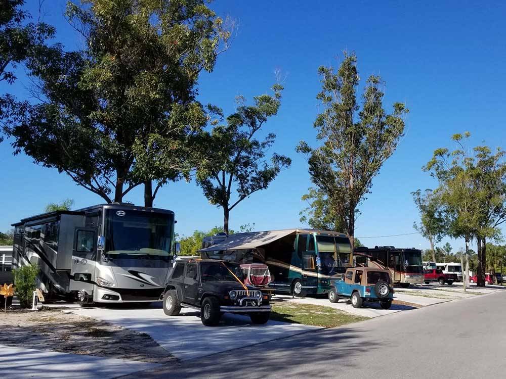A row of motorhomes in paved sites at RIVER VISTA RV VILLAGE