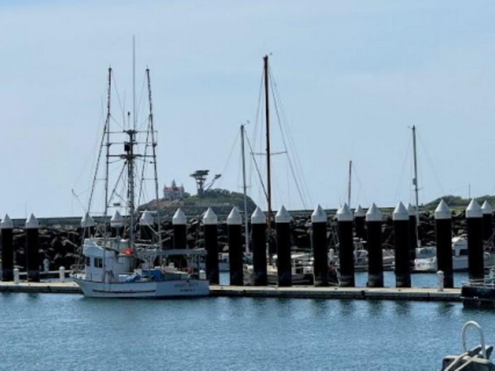 Boats on the water Redwood Harbor Village