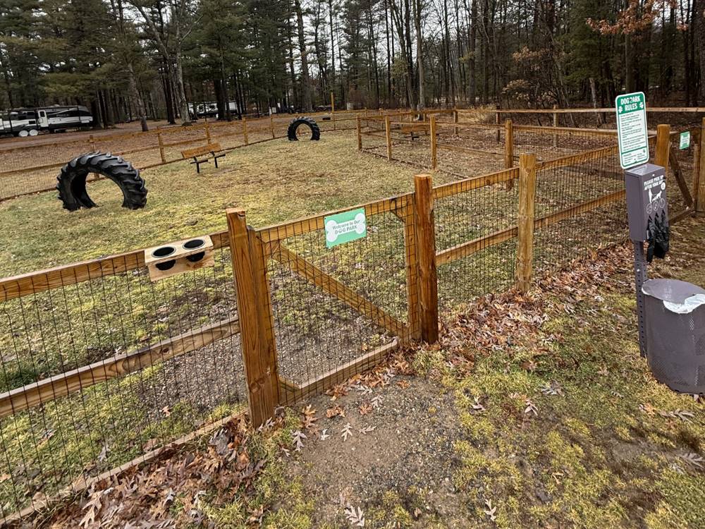 The enclosed dog park