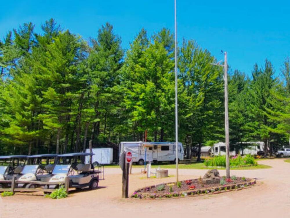 Golf carts, RVs and tall green trees