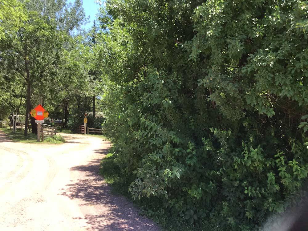 A large bush by the road at RED BARN RV PARK