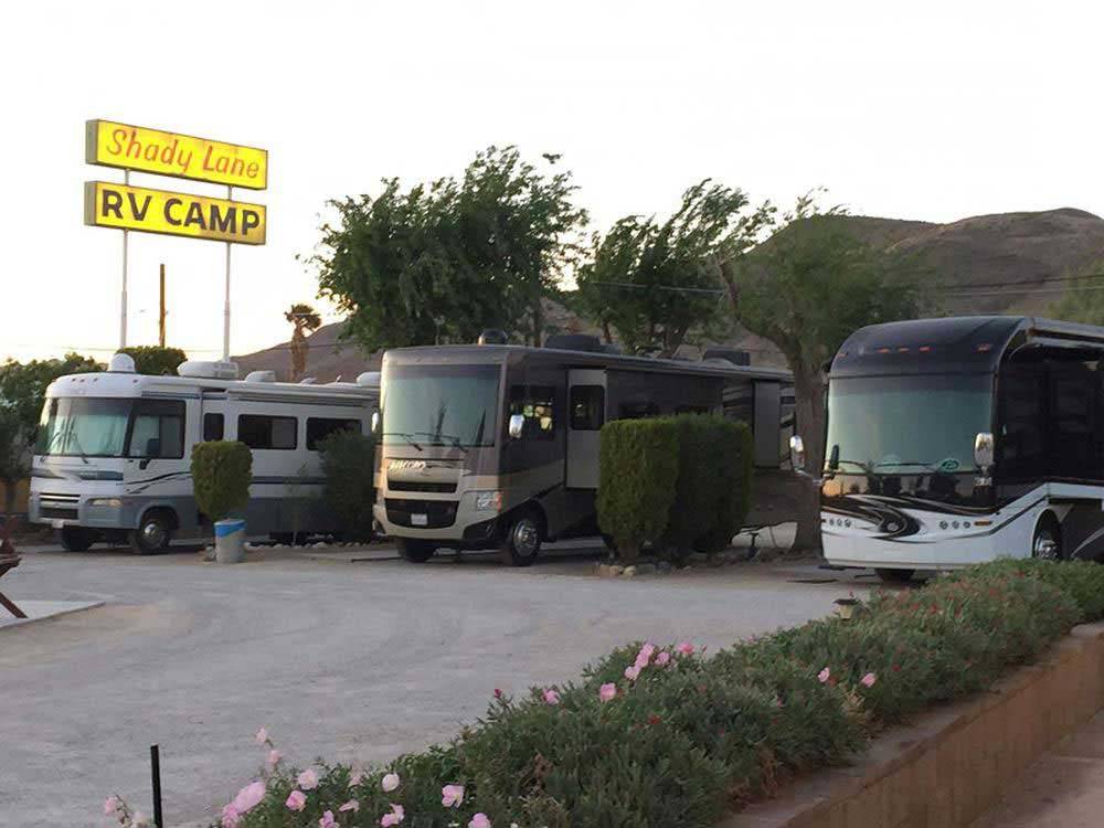 Row of big rigs under the park sign at SHADY LANE RV CAMP