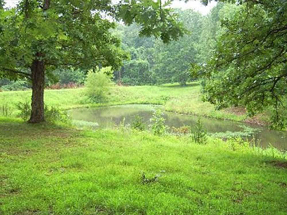 The river next to a grassy area at MERAMEC CAMPGROUND