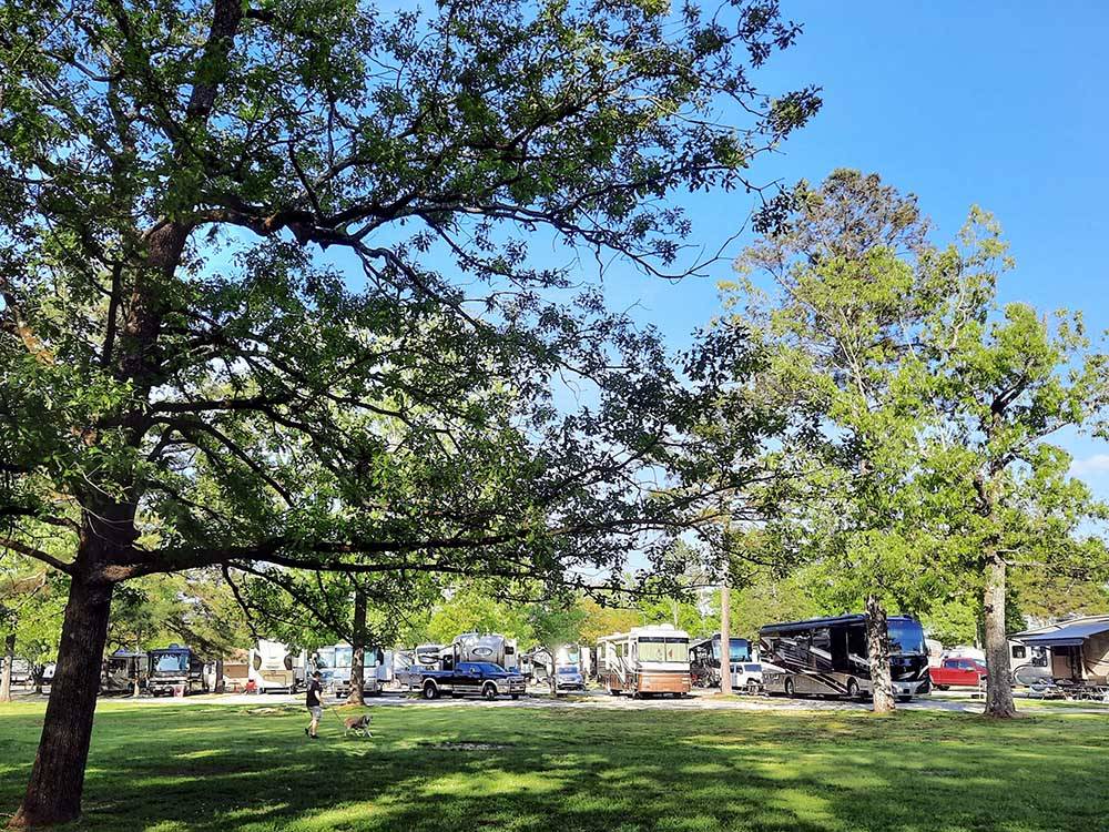 RVs parked at campground at CHATTANOOGA HOLIDAY TRAVEL PARK