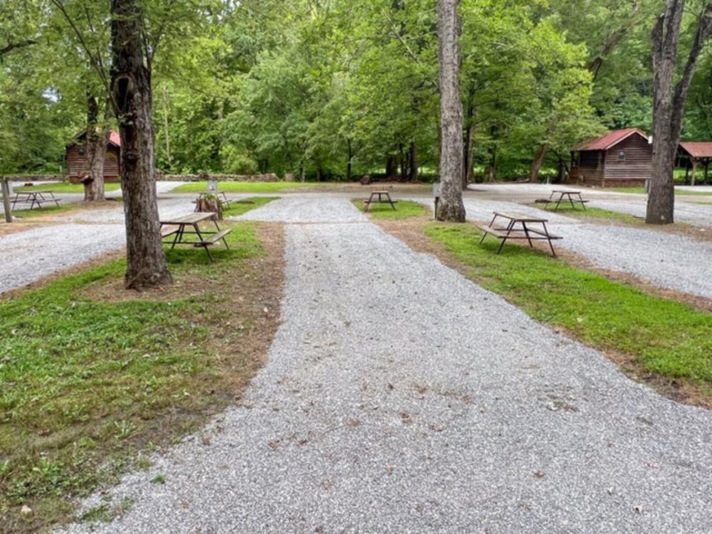 Open RV space at site Lazy Turtle Campground & Cabins