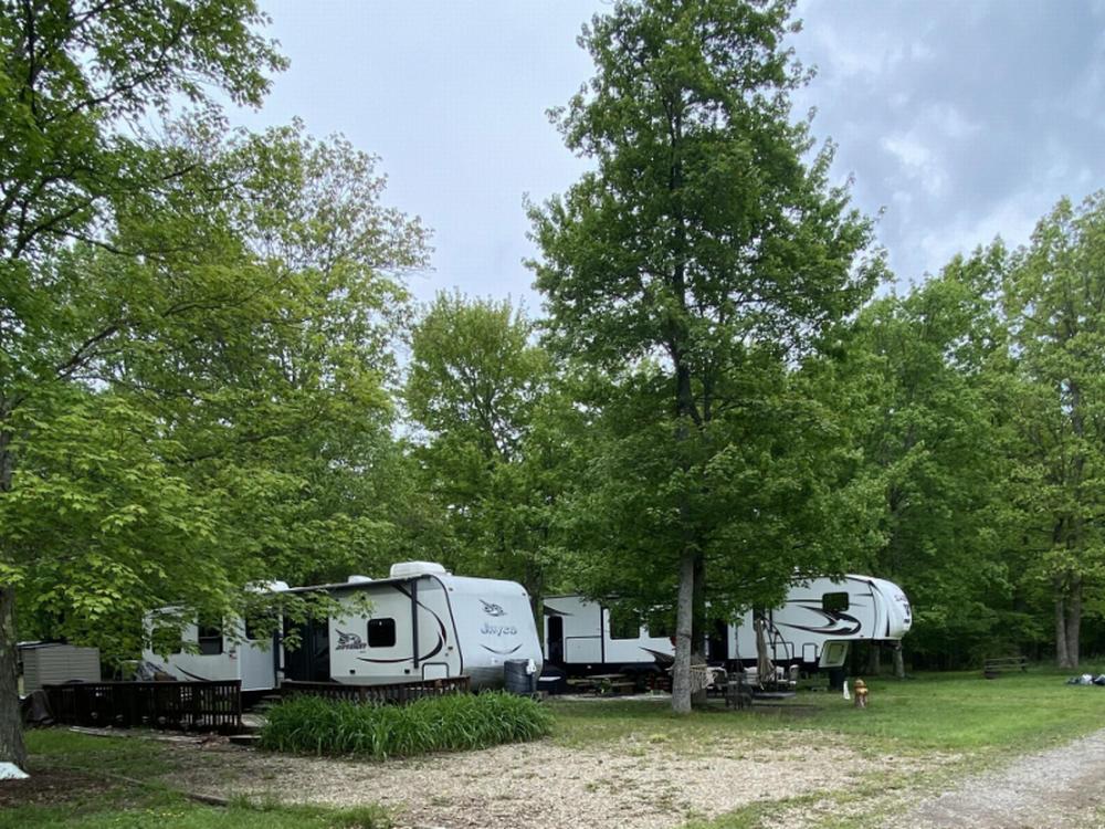 RVs parked among tall shade trees