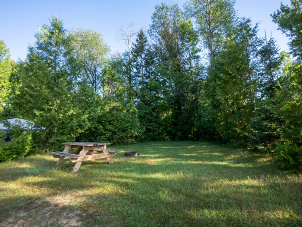 Grassy campsite