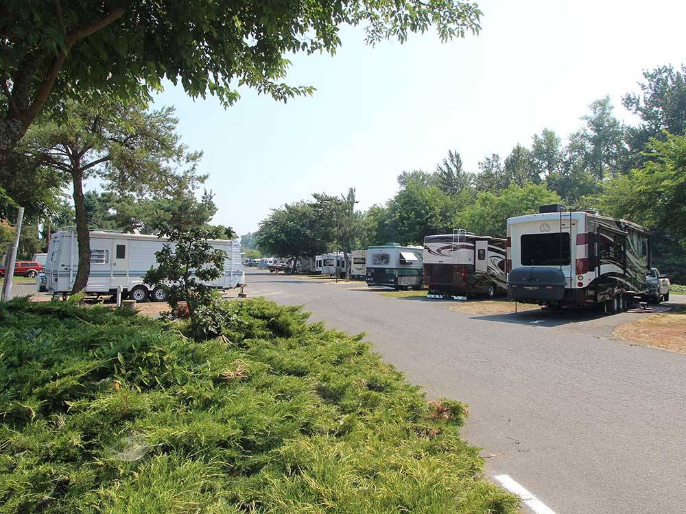 A paved road leading to the sites at HOLIDAY RV PARK