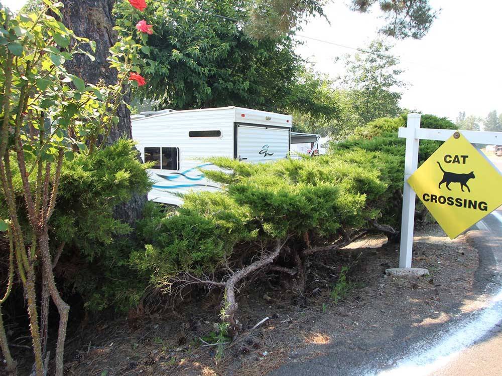 A yellow cat crossing sign at HOLIDAY RV PARK