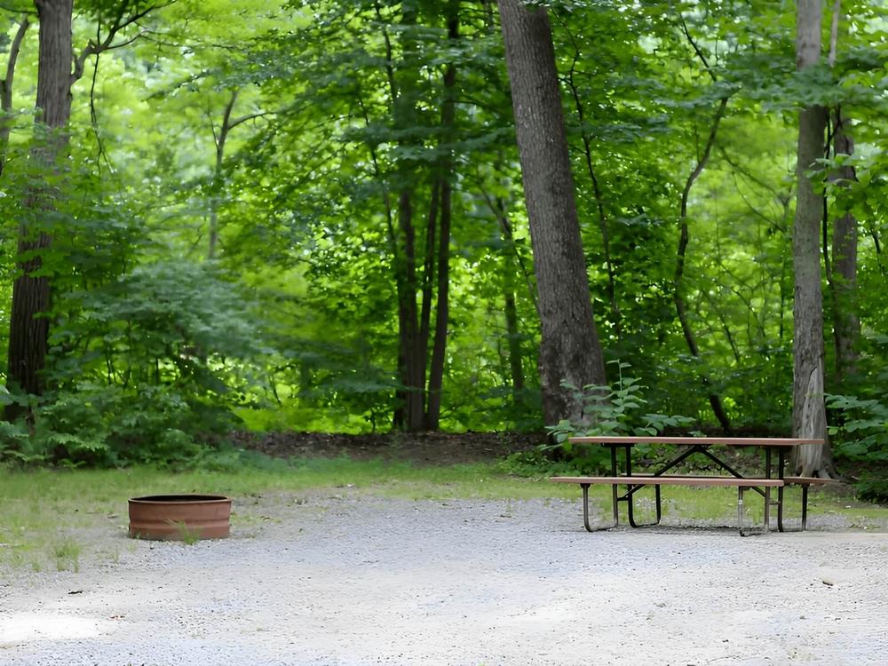 Table and firepit at site