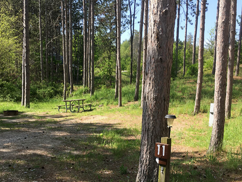 Shady sites at Whitewater Township Park