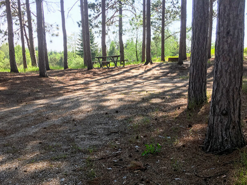 Picnic table at site Whitewater Township Park