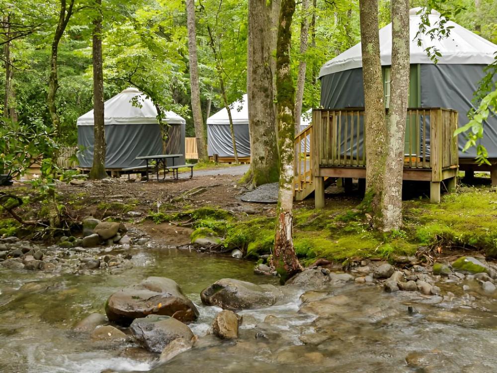 Creek view yurts at site Roamstead