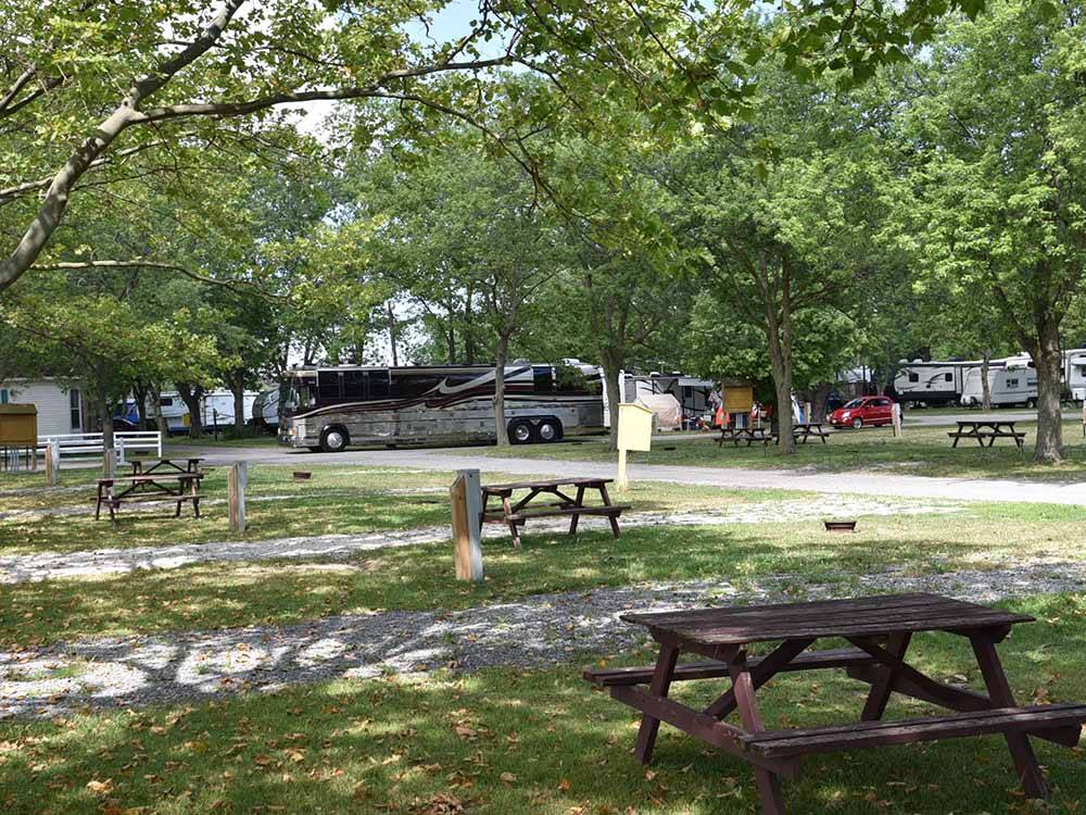 Some of the shady RV sites at SCOTT'S FAMILY RV-PARK CAMPGROUND