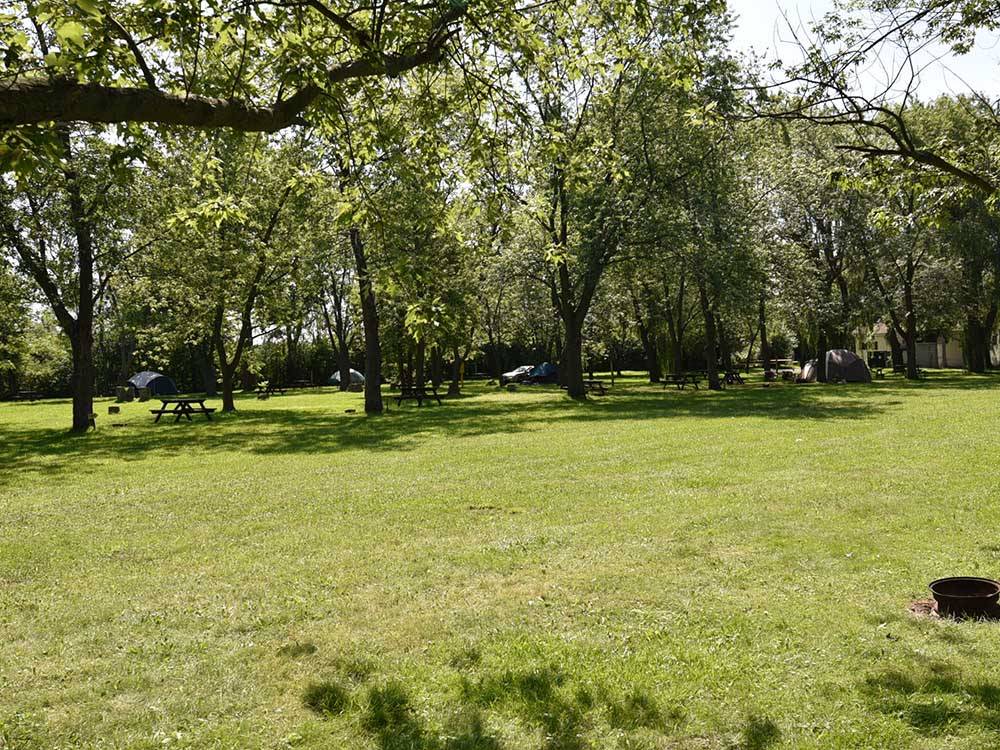 View of tent sites from a slight distance at SCOTT'S FAMILY RV-PARK CAMPGROUND