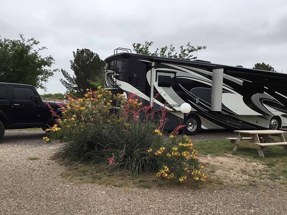 Flowers next to an RV site at FORT STOCKTON RV PARK