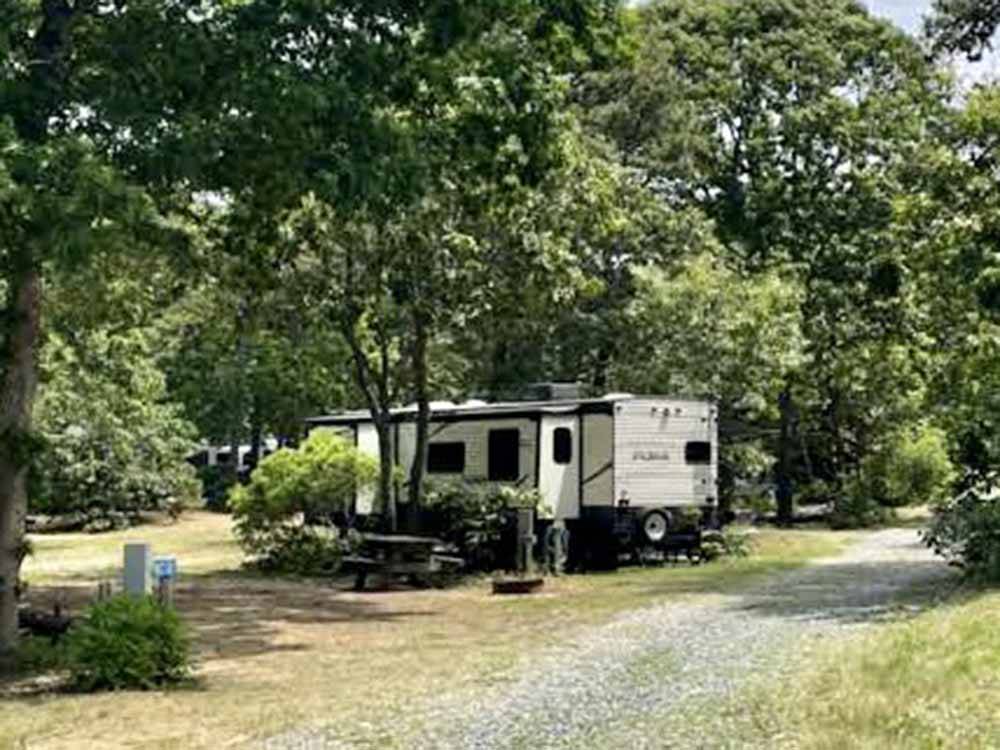 A row of RV sites under trees at ATLANTIC OAKS