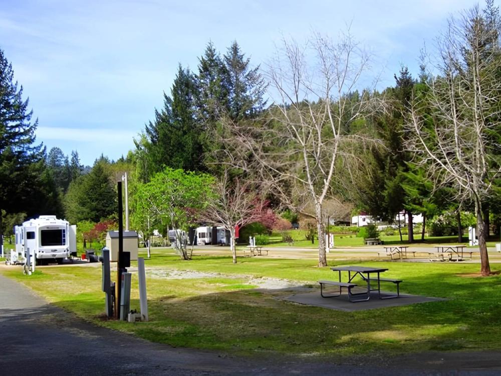 RV sites surrounded by trees