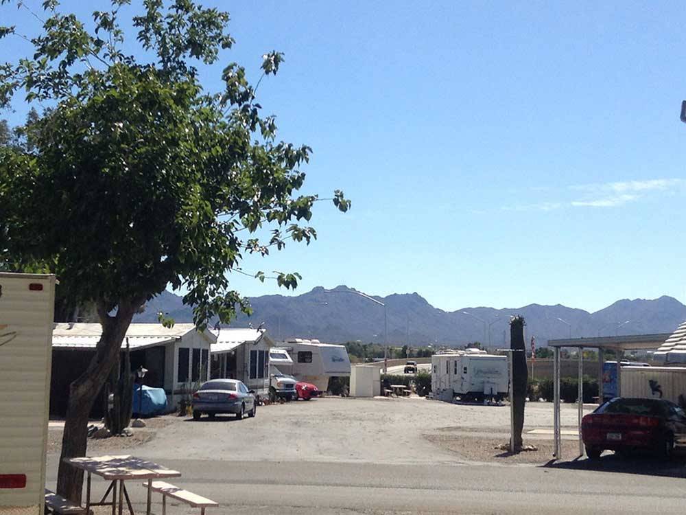 Road leading into campground at PRINCE OF TUCSON RV PARK