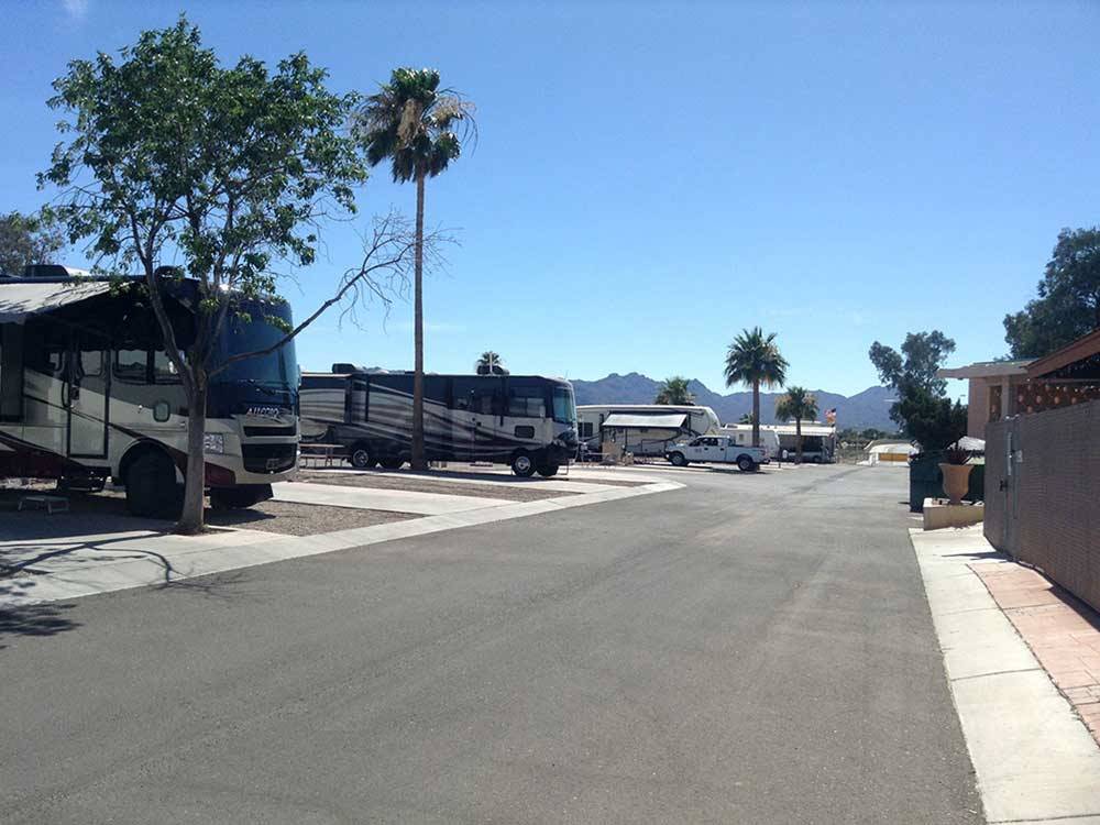 RVs and trailers camping at PRINCE OF TUCSON RV PARK