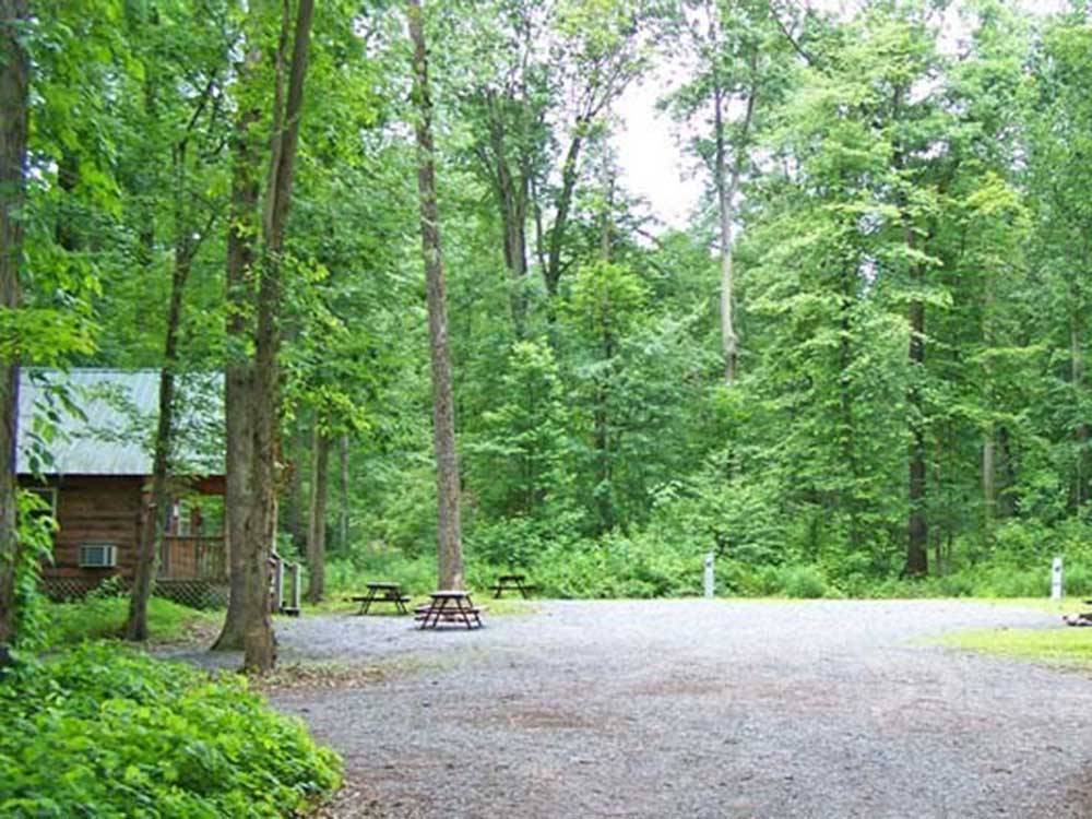 A gravel path leading to campsites at HICKORY RUN CAMPGROUND