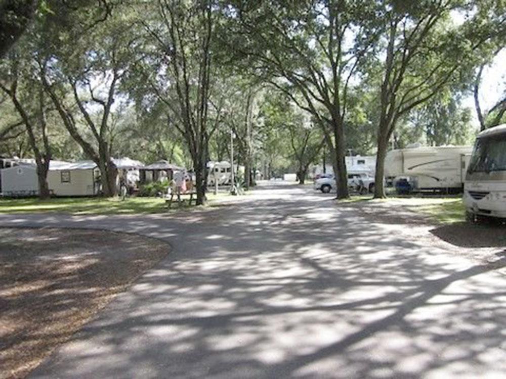 A row of trailers and motorhomes parked in sites at HAPPY TRAVELER RV RESORT