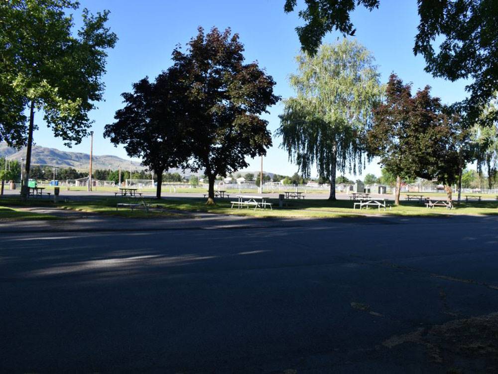 Picnic tables, RV sites and trees at Carl Precht Memorial RV Park