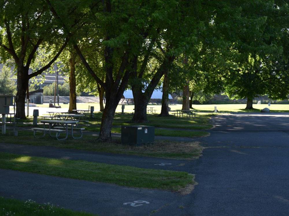 The interior road flanked by RV sites at Carl Precht Memorial RV Park