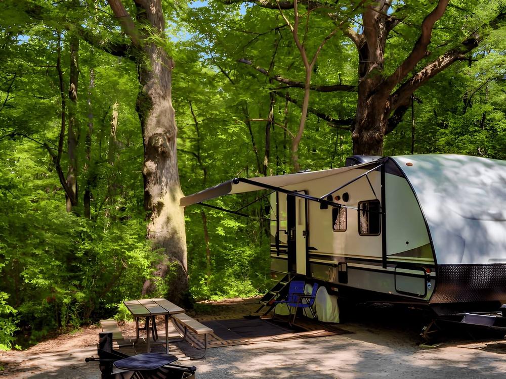 An RV in a shaded site