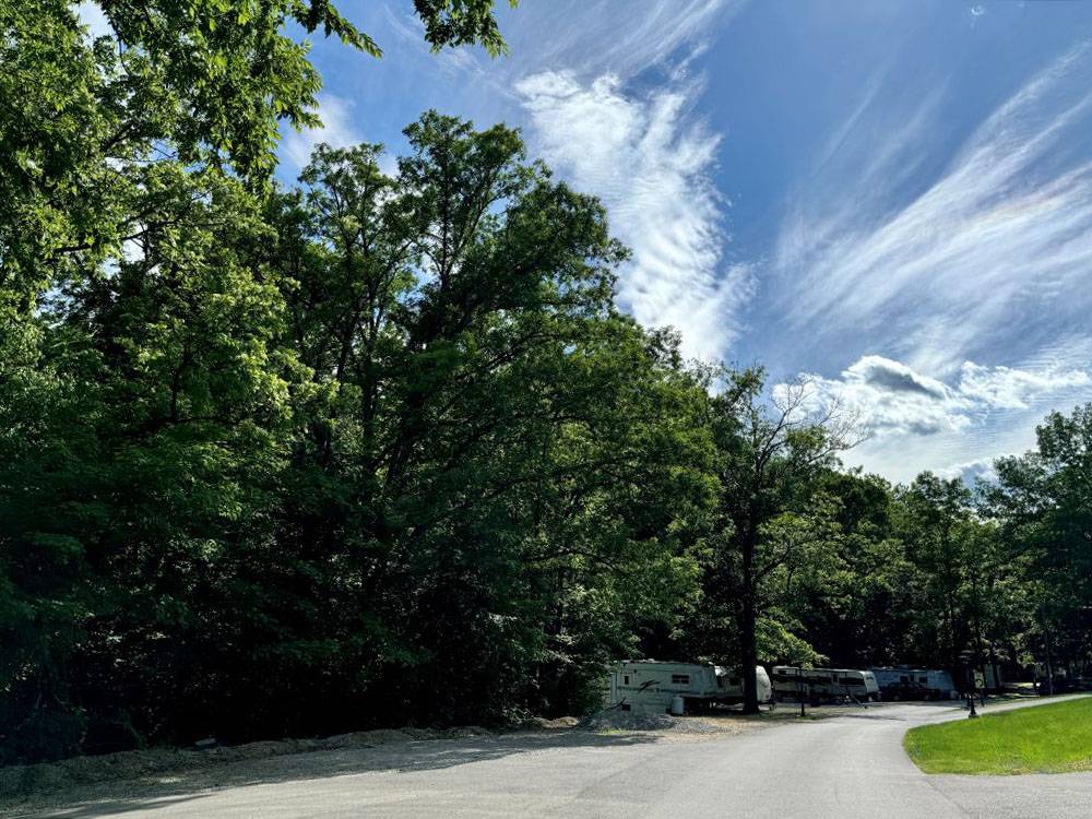 A road that leads to shaded RV sites