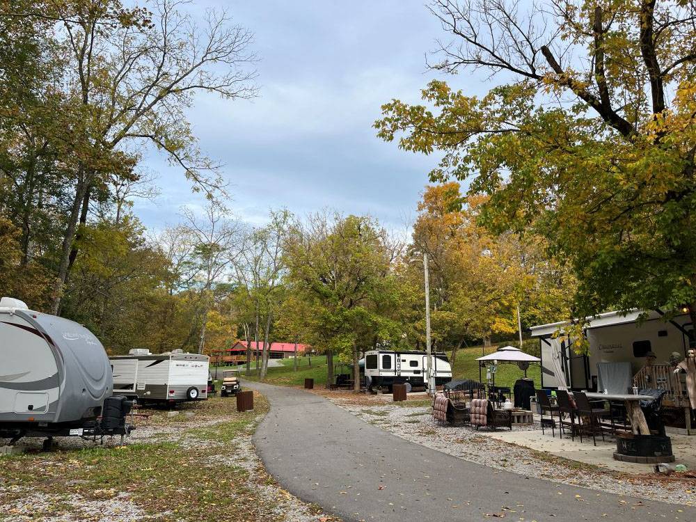 RVs parked in sites