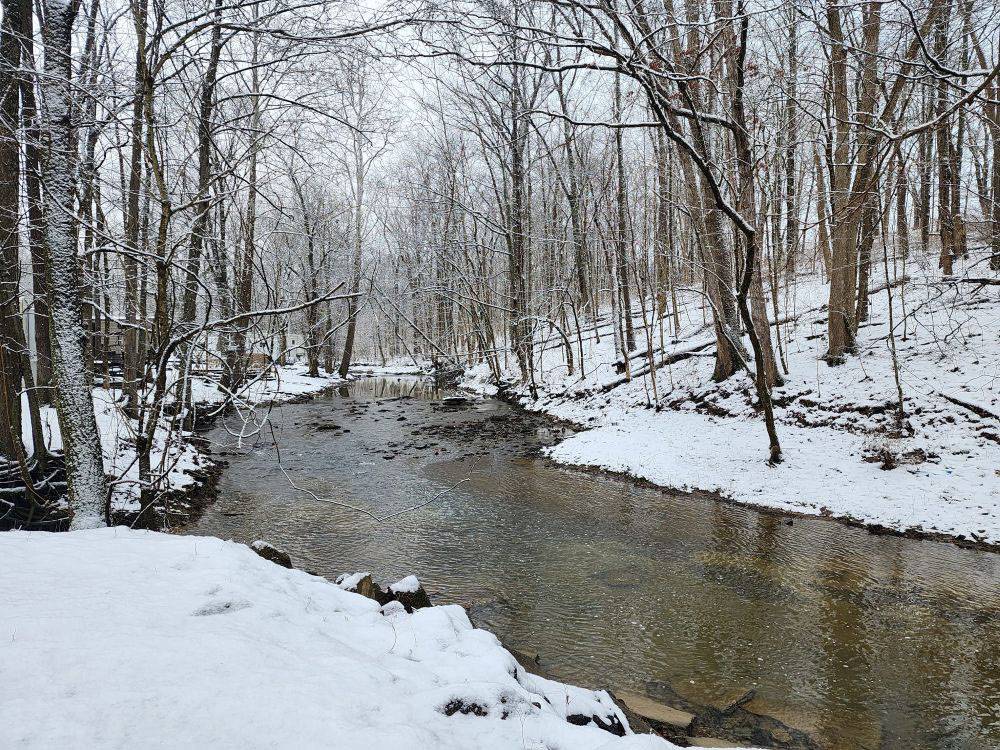 The stream on a snowy day