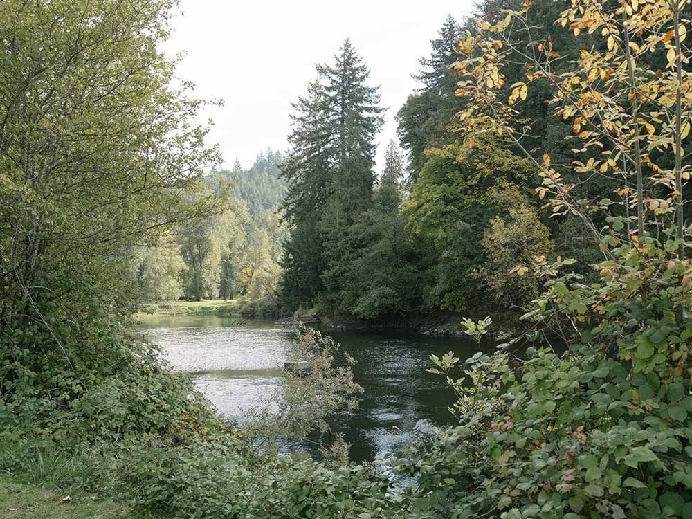 A view of the tree lined river at CAMP KALAMA RV PARK