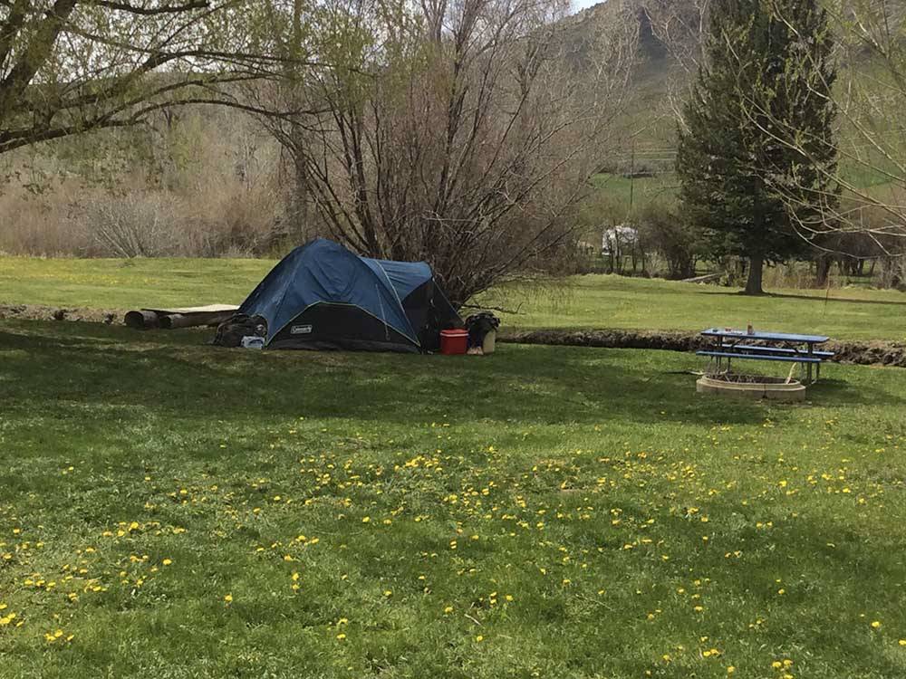 One of the tenting sites at HOLIDAY HILLS RV PARK