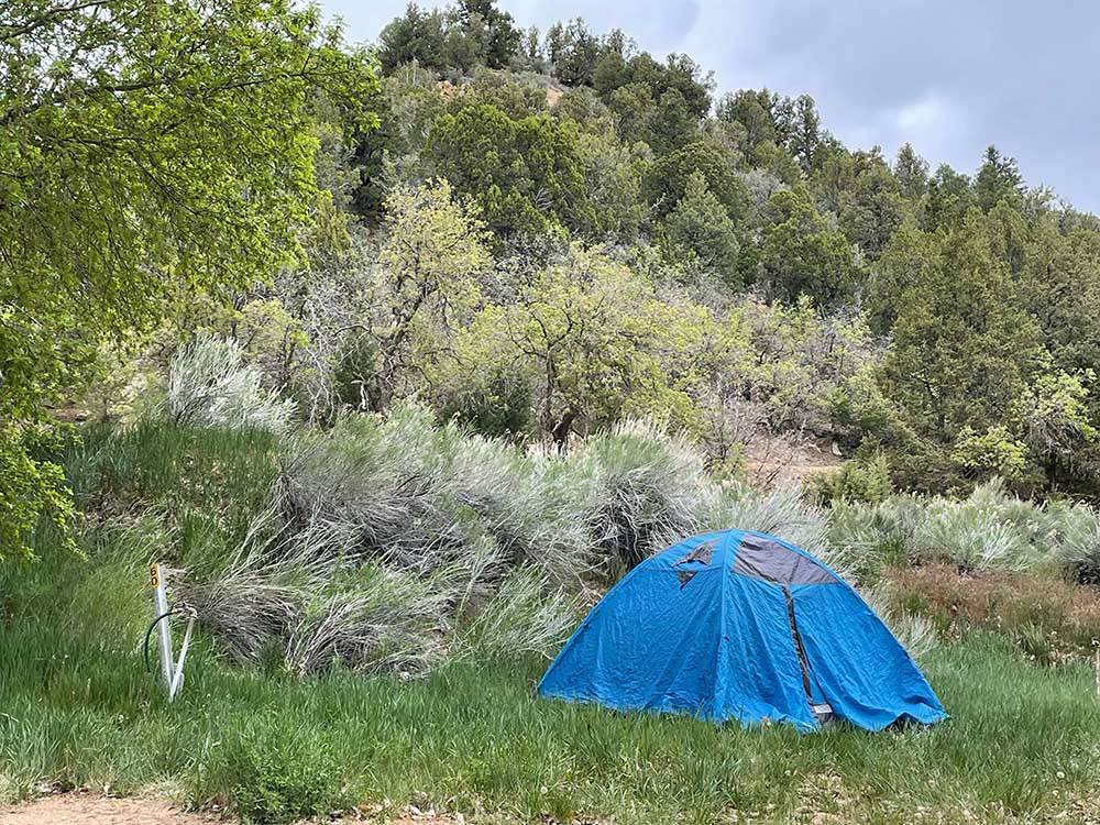 One of the tent camping sites at BRYCE-ZION CAMPGROUND