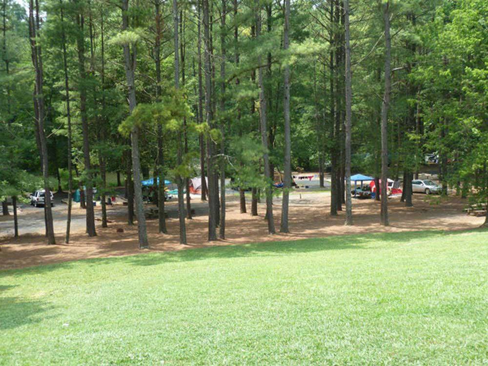 Camping sites surrounded by tall trees at SHENANDOAH VALLEY CAMPGROUND