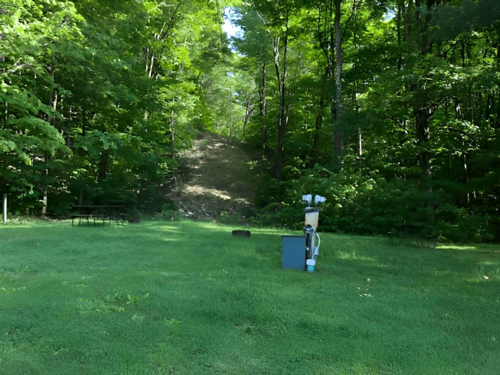 Open RV space at site Pine Hollow Campground