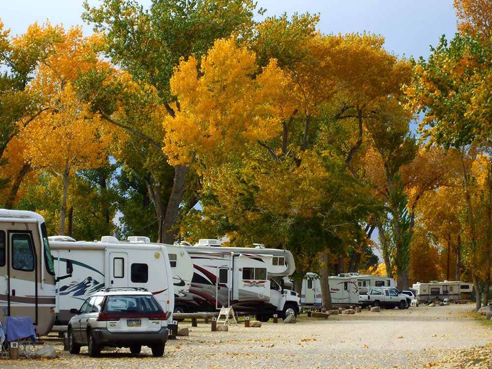 A row of RV sites with fall trees at BROWN'S TOWN CAMPGROUND