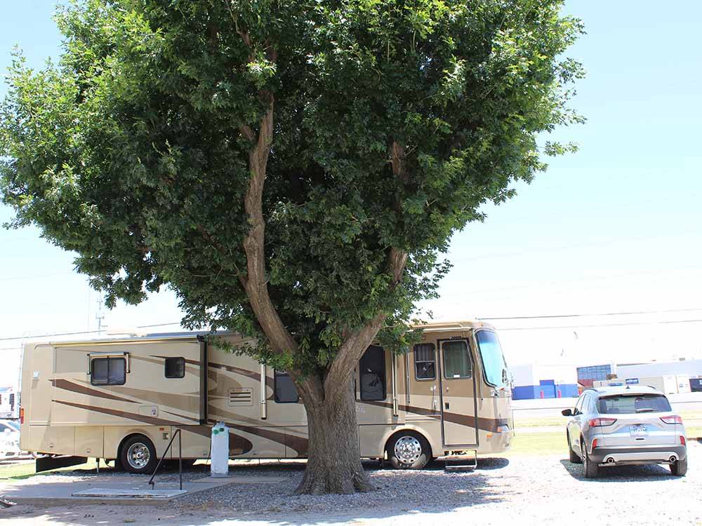 A motorhome parked under a tree at COUNCIL ROAD RV PARK