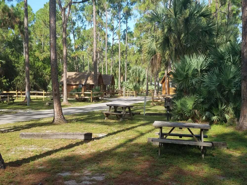 Some RV sites with picnic benches at LION COUNTRY SAFARI KOA