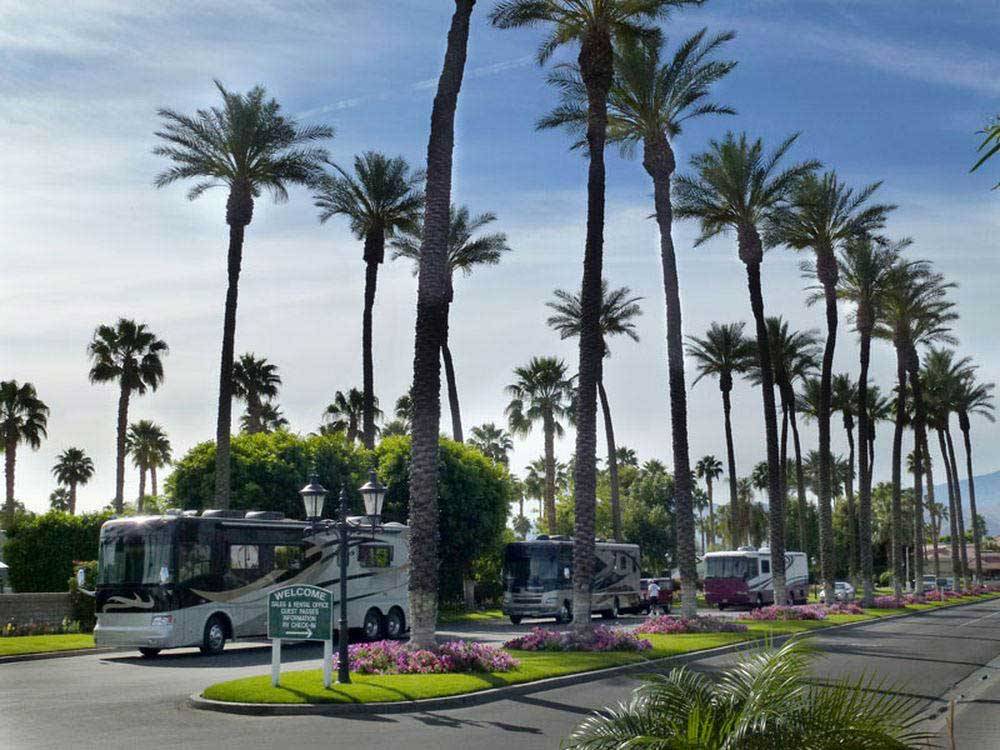 RVs parked at OUTDOOR RESORT PALM SPRINGS