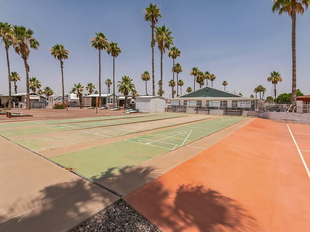 Shuffleball court