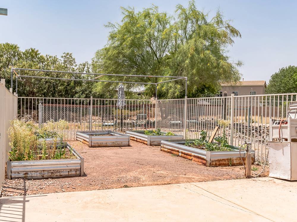 Outdoor garden