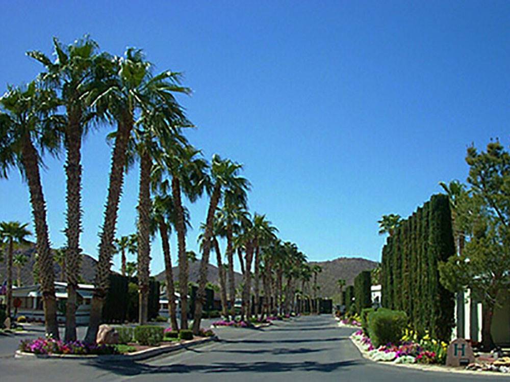 Road leading into campground at RINCON COUNTRY WEST RV RESORT